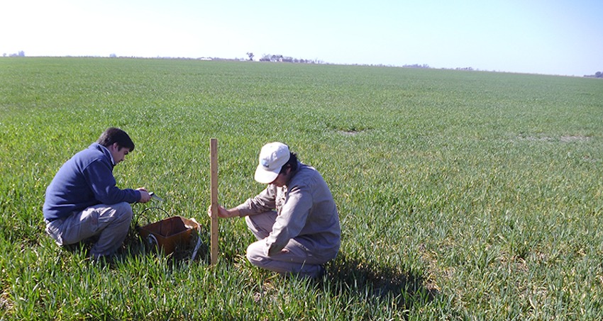 Ingenieros Agrónomos