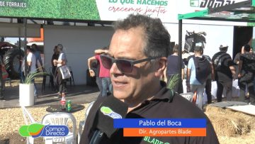 Blade – Pablo del Boca