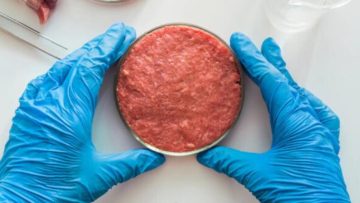 CREATOR: gd-jpeg v1.0 (using IJG JPEG v62), quality = 75