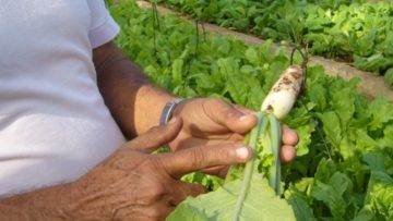 CREATOR: gd-jpeg v1.0 (using IJG JPEG v80), quality = 90