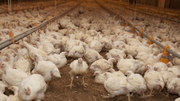 CREATOR: gd-jpeg v1.0 (using IJG JPEG v80), quality = 90