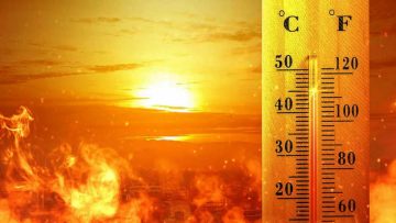 CREATOR: gd-jpeg v1.0 (using IJG JPEG v62), quality = 75