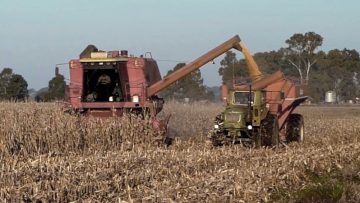 CREATOR: gd-jpeg v1.0 (using IJG JPEG v62), quality = 96