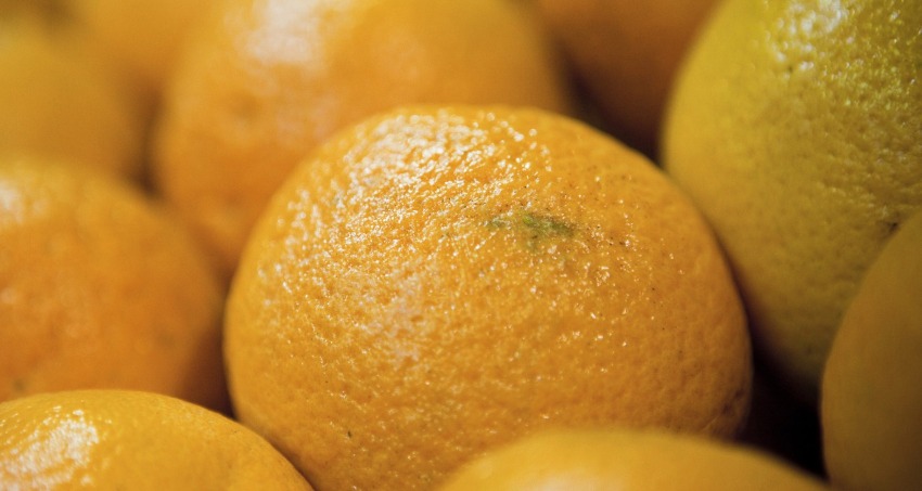 economías regionales