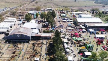 xr:d:DAE9I1rWXJ4:164,j:34065953772,t:22083014