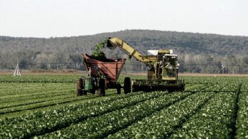 CREATOR: gd-jpeg v1.0 (using IJG JPEG v62), quality = 75