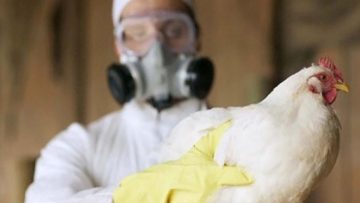 CREATOR: gd-jpeg v1.0 (using IJG JPEG v62), quality = 75