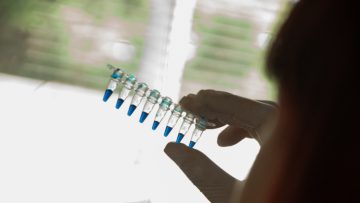 CREATOR: gd-jpeg v1.0 (using IJG JPEG v62), quality = 90