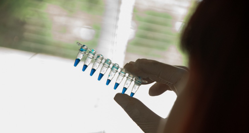 Mejoramiento Genético Vegetal