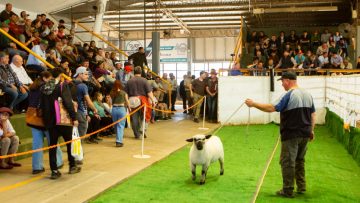 Expo Rural de Jesús María (1)