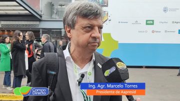 Marcelo Torres