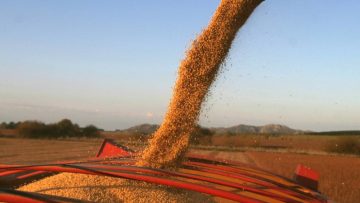 CREATOR: gd-jpeg v1.0 (using IJG JPEG v62), quality = 75