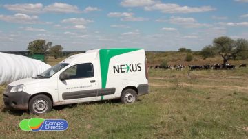 Nexus Agro