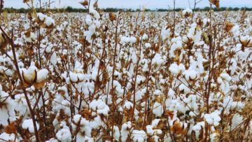 xr:d:DAFwTGbYxMo:8,j:4921713440332553574,t:23100412