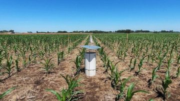 CREATOR: gd-jpeg v1.0 (using IJG JPEG v62), quality = 75