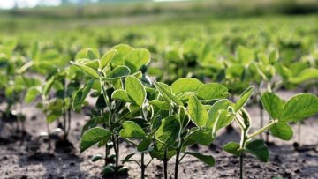 CREATOR: gd-jpeg v1.0 (using IJG JPEG v62), quality = 96