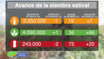 Análisis y Opinión