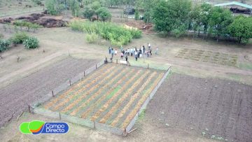 Campo Experimental UCC