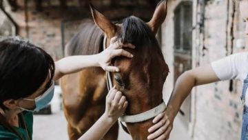 CREATOR: gd-jpeg v1.0 (using IJG JPEG v62), quality = 75