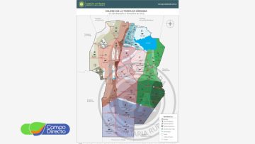 mercado inmobiliario rural