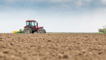 CREATOR: gd-jpeg v1.0 (using IJG JPEG v62), quality = 75