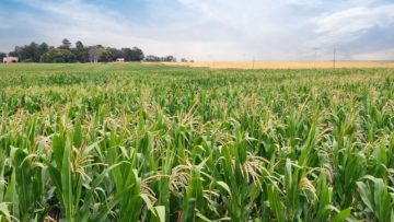 CREATOR: gd-jpeg v1.0 (using IJG JPEG v80), quality = 100