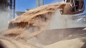 CREATOR: gd-jpeg v1.0 (using IJG JPEG v62), quality = 75