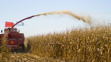 CREATOR: gd-jpeg v1.0 (using IJG JPEG v62), quality = 96