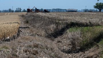 CREATOR: gd-jpeg v1.0 (using IJG JPEG v62), quality = 75