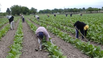 CREATOR: gd-jpeg v1.0 (using IJG JPEG v62), quality = 96