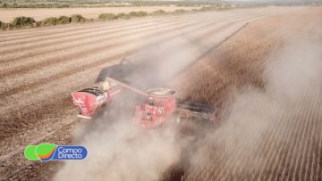 Análisis y Opinión