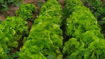 xr:d:DAE9I1rWXJ4:1523,j:5149162550220727184,t:24032014