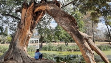 VI Congreso Nacional de Arboricultura y Bosques Urbanos