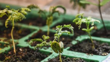 xr:d:DAFy3EmNFG4:2,j:4722431974304270798,t:23103120