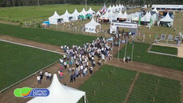 Circuito del maní (1)