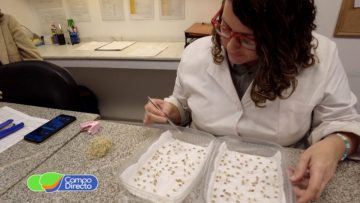 Laboratorio de semillas BCCBA (1)