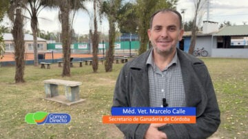 Marcelo Calle