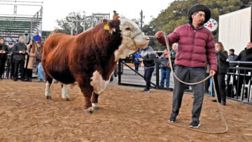 Místico – Rural de Palermo
