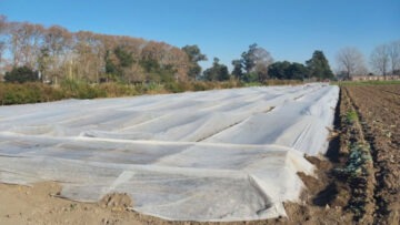 proteccion de heladas