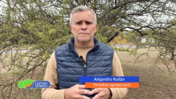 Análisis y Opinión