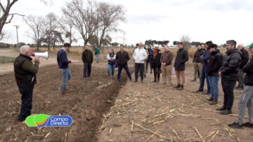 Jornada de suelos (2)