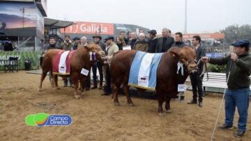 San Ingacio en Palermo