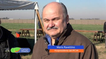 Mario Ravettino