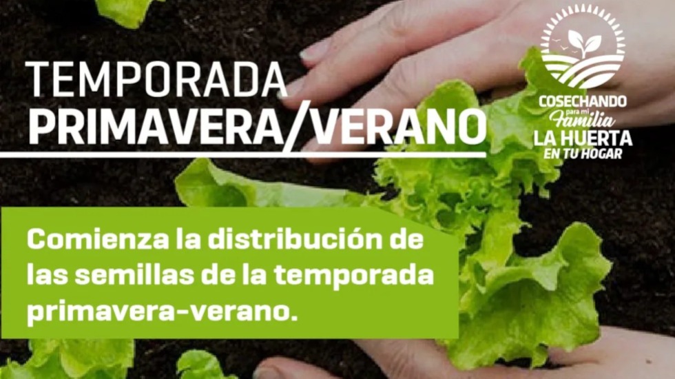 La huerta en tu hogar