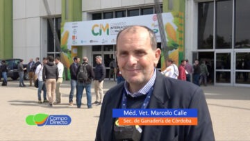 Marcelo Calle
