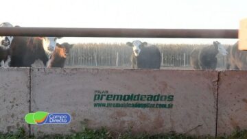 Premoldeados Pilar (1)