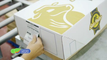 analísis y opinión