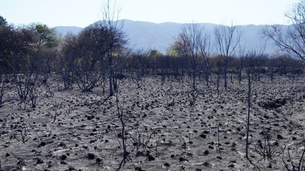 incendios rurales