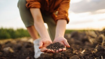 producción sustentable