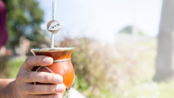 yerba mate